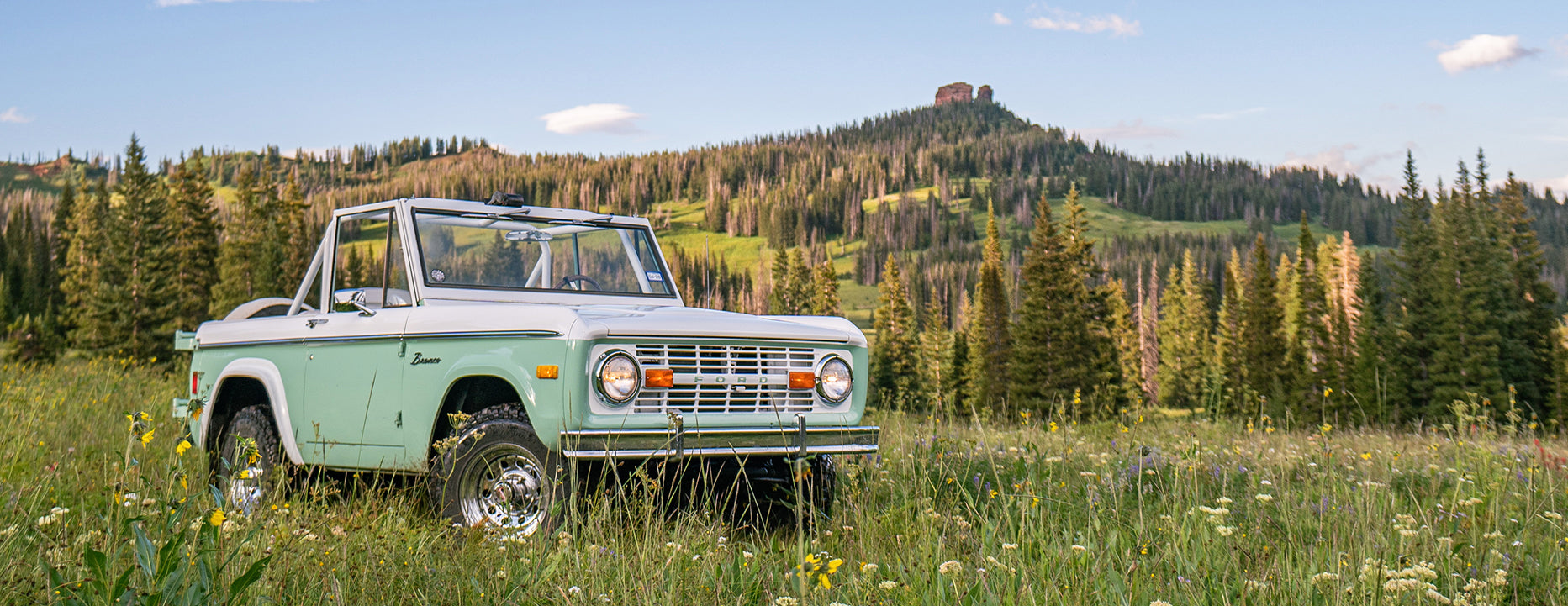 Mountain Muse