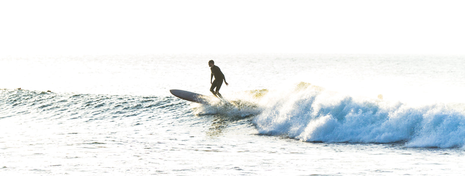 Surfs Up