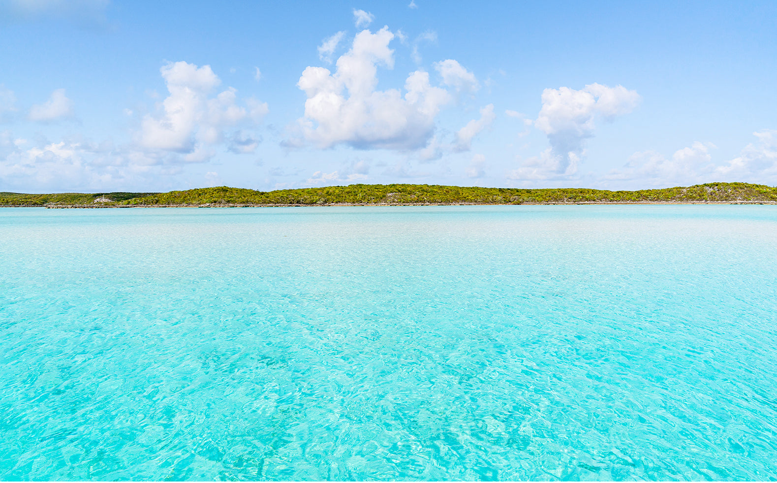 The Tropics