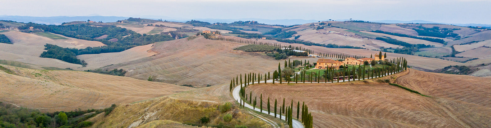 Tuscan Sun