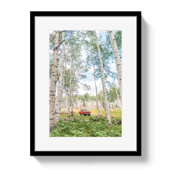Aspen Scout