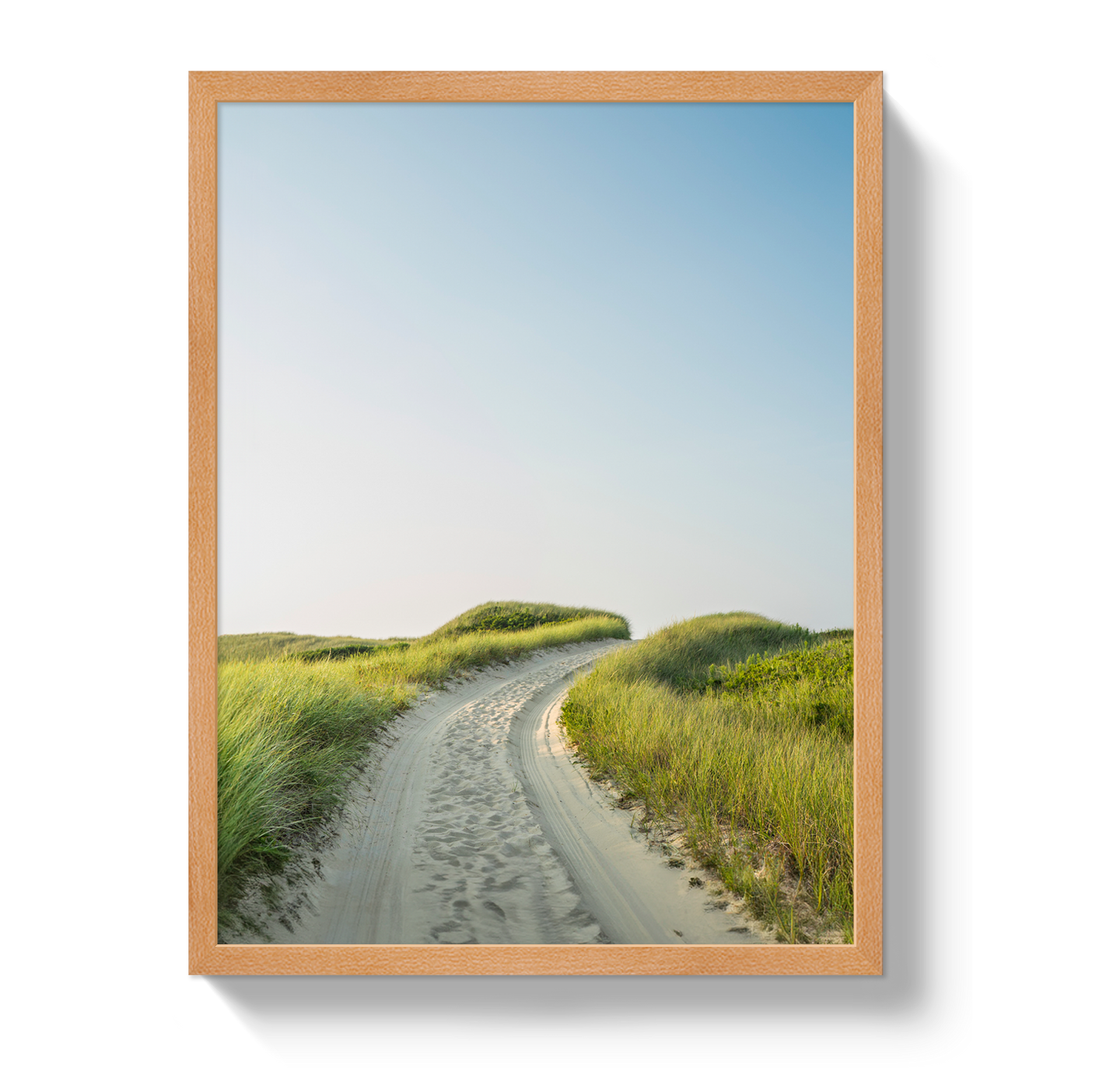 Nantucket Avenue – Johnny Vacay